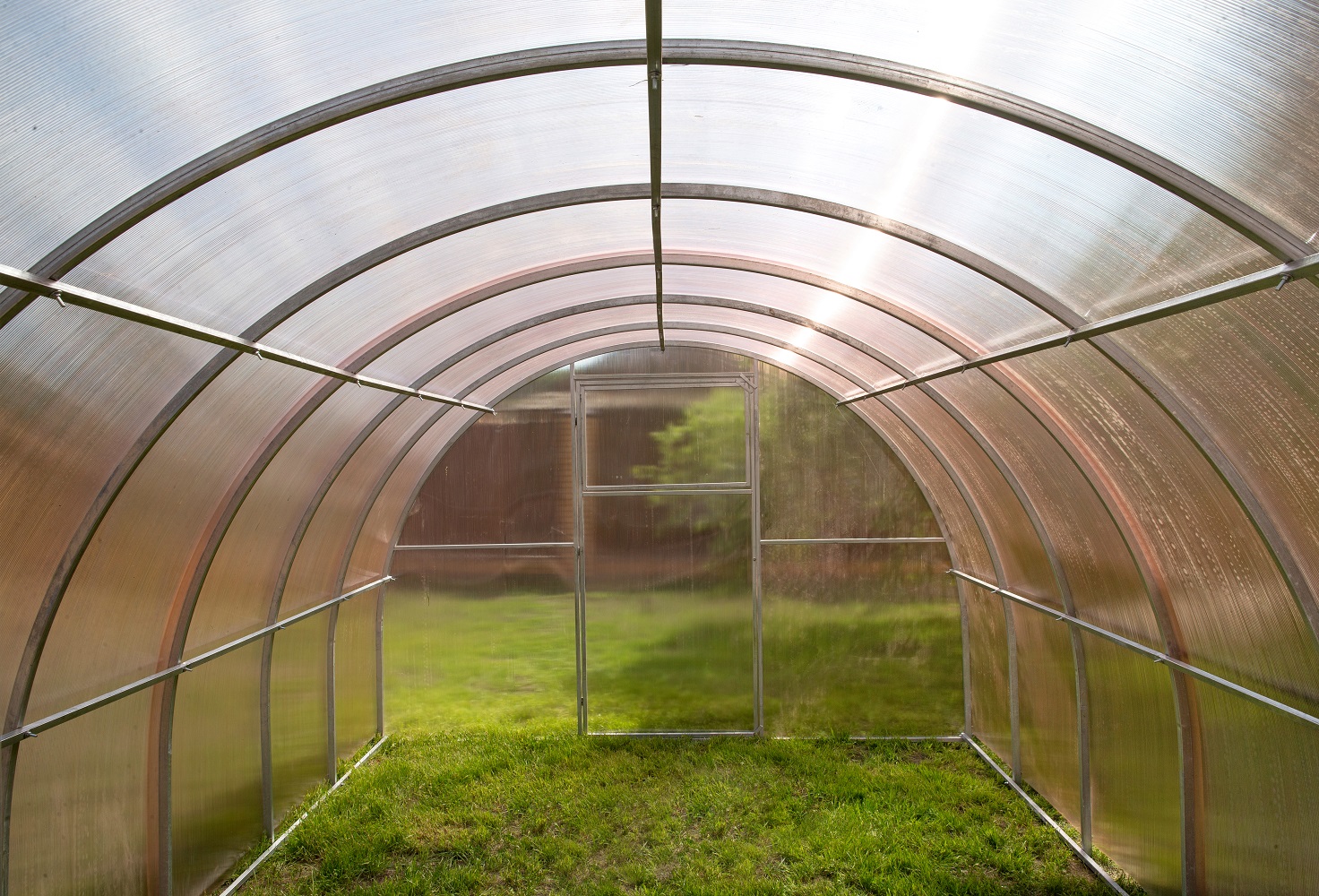 Теплица Добрыня